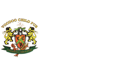 Voodoo Child Pub